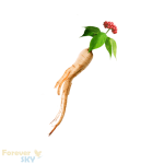 فوراور جین چیا (جینسینگ و گلدن چیا) | Forever Gin Chia - تصویر 4