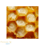 فوراور رویال ژلى (اکسیر جوانی) | Forever Royal Jelly - تصویر 3