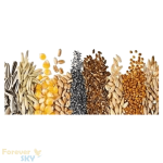 فوراور فیبر | Forever Fiber - تصویر 3